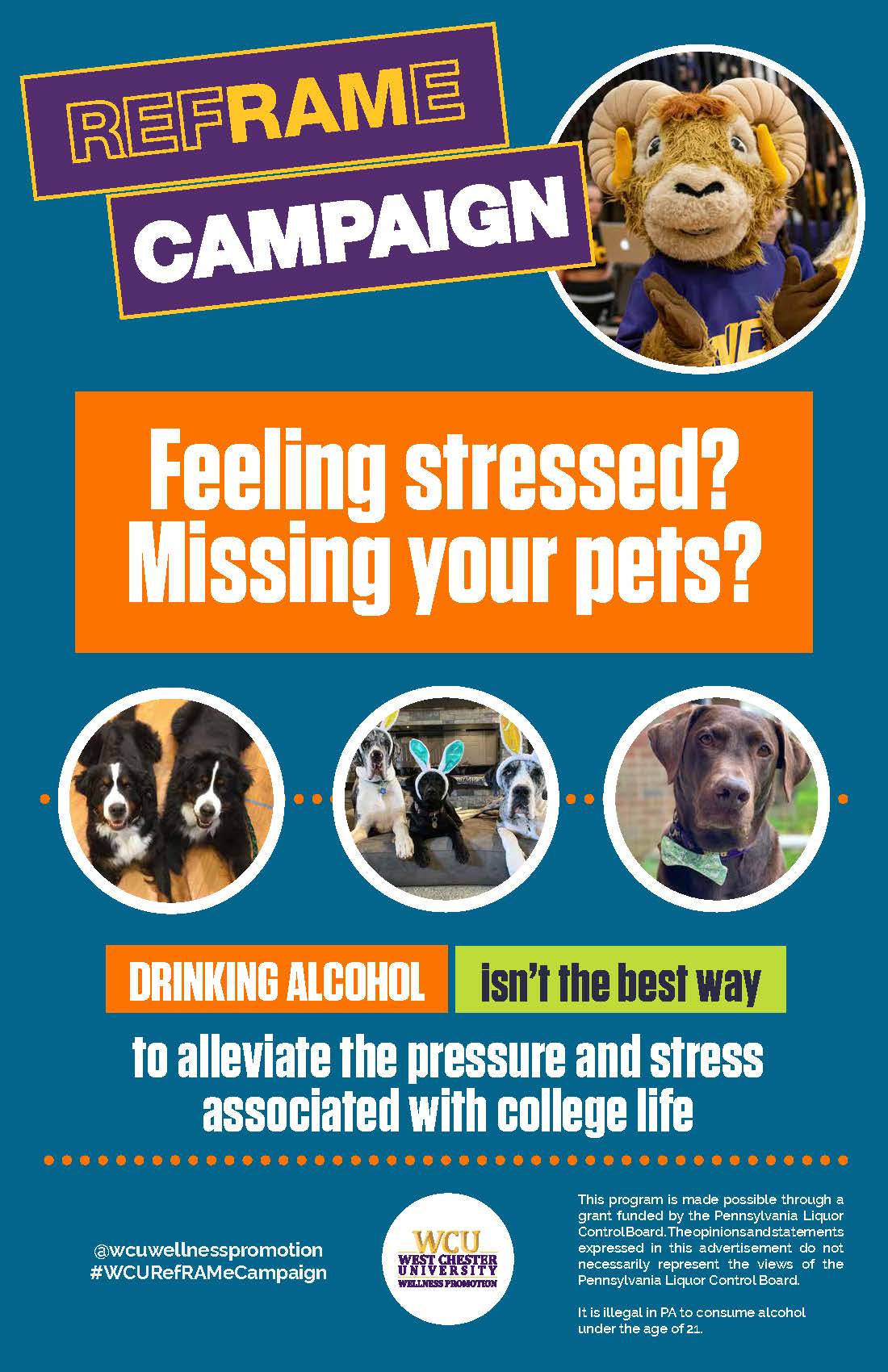 Feeling stressed? Missing your pets? Drinking alcohol isn't the best way to alleviate the pressure and stress associated with college life.